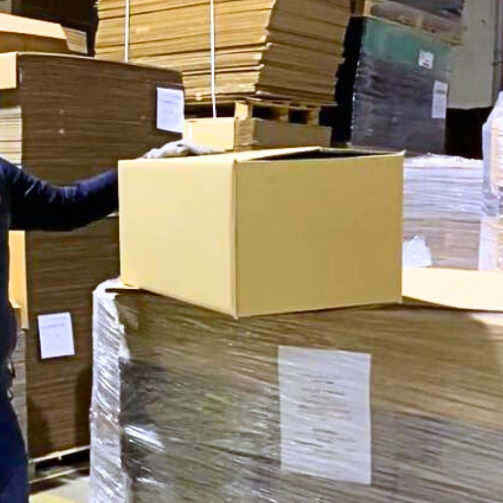 Cajas Almacenaje y Transporte 60x40x30 - Imagen 2