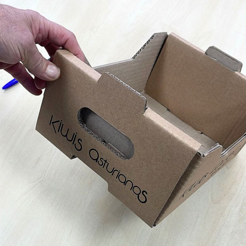 Cajas para 2 kg de CEREZAS, FRESAS y ARANDANOS - Imagen 5