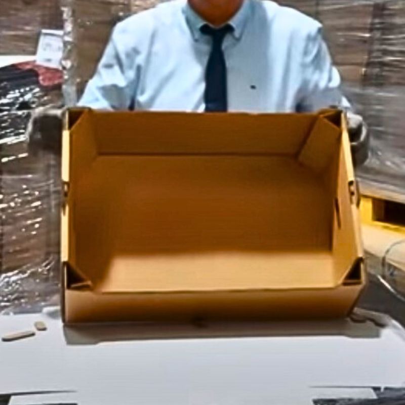 Cajas para 15 a 20 kg de Frutas y Verduras - Imagen 3