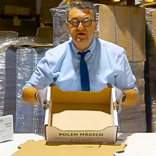 Caja para 5 kg de Frutas y Verduras