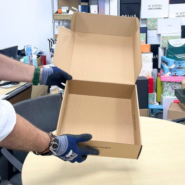 Cajas para Envíos de Ropa 32x30x11 DIRECTO FABRICA - Imagen 3