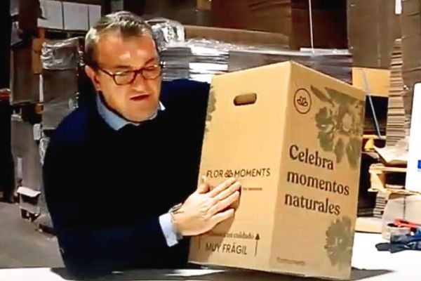 Cajas para flores y plantas