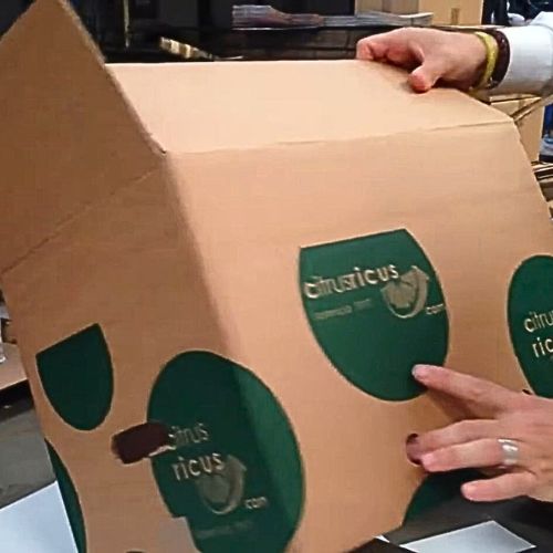 Cajas para NARANJAS 15 a 20 kg para MENSAJERIA - Imagen 4