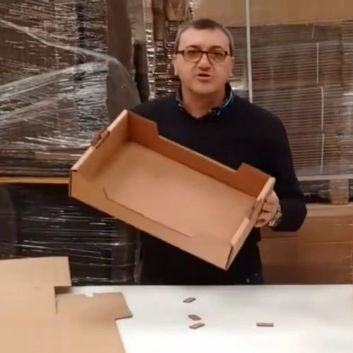 Cajas para Tomates medida 50x30x11 - Imagen 2