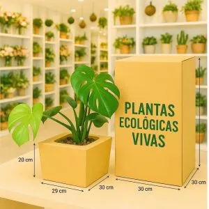 CAJAS para FLORES y PLANTAS