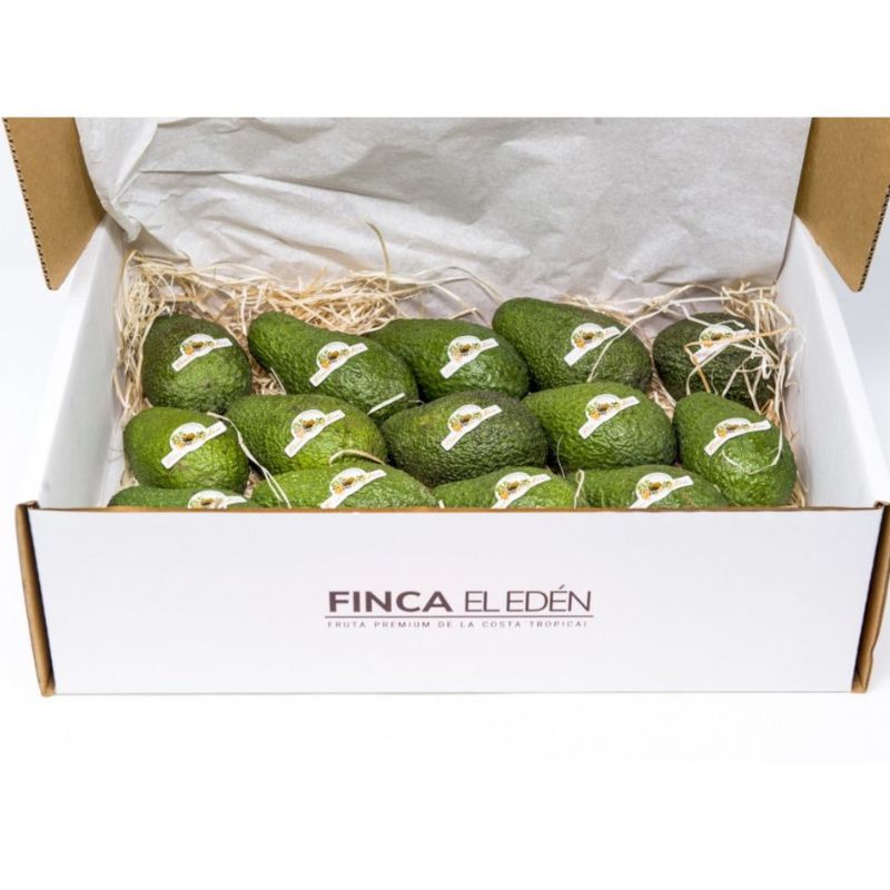 CAJAS para AGUACATES