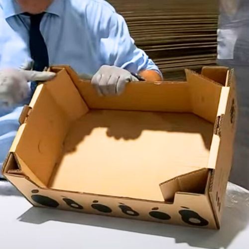 Caja para 10 kg de Frutas y Verduras - Imagen 3