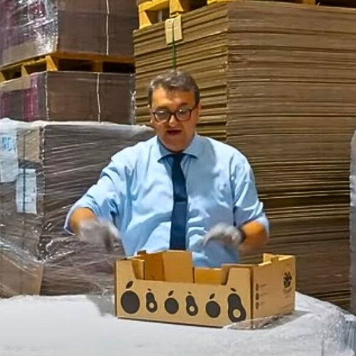 Caja para 10 kg de Frutas y Verduras - Imagen 4