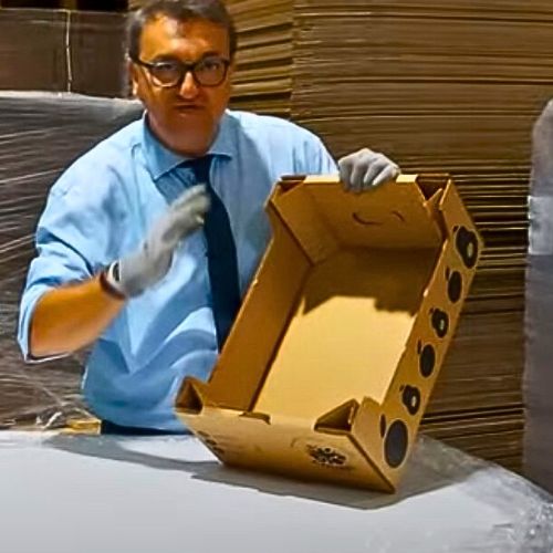 Caja para 10 kg de Frutas y Verduras