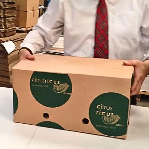 Caja para 10 a 15 kg de Naranjas para MENSAJERIA - Imagen 3