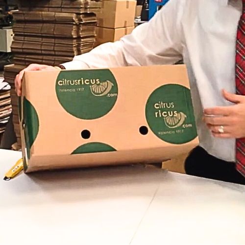 Caja para 10 a 15 kg de Naranjas para MENSAJERIA - Imagen 2