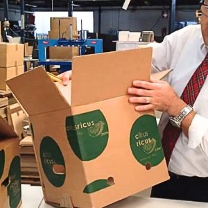 Cajas para Naranjas 5 a 10 kg para MENSAJERIA