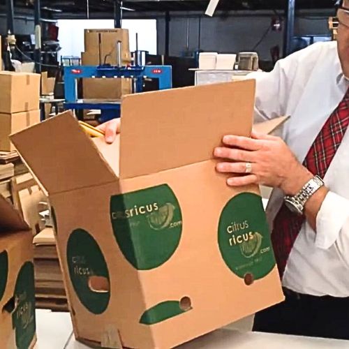 Cajas para Naranjas 5 a 10 kg para MENSAJERIA