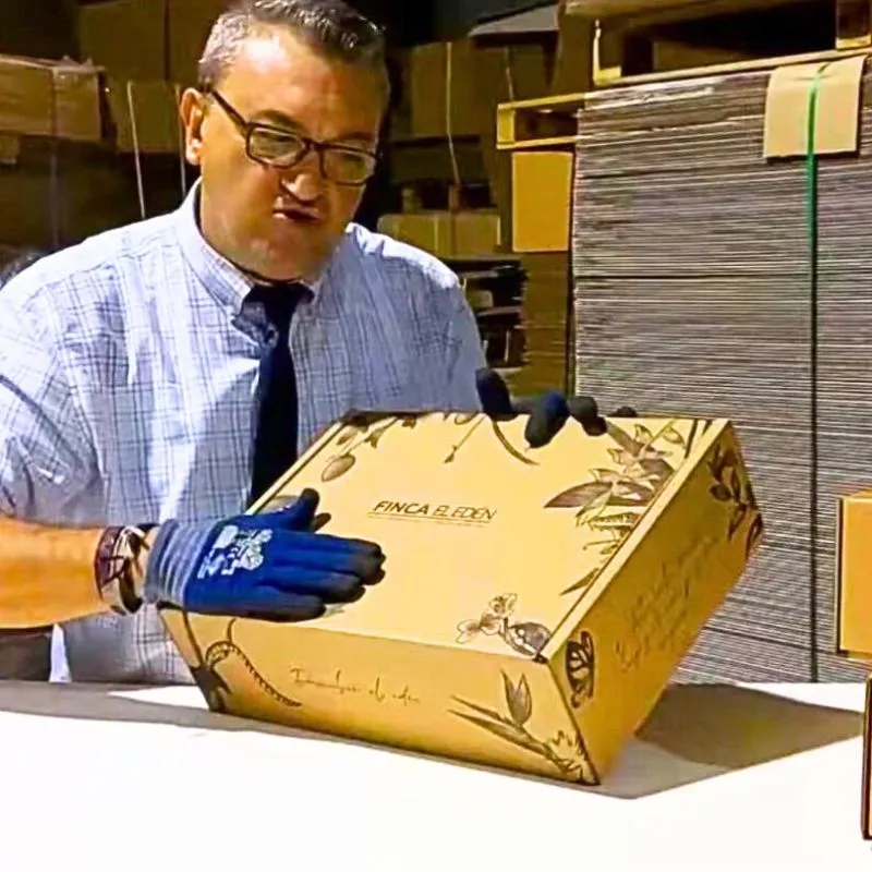 Cajas para Aguacates 40x30x12 AUTOMONTABLE