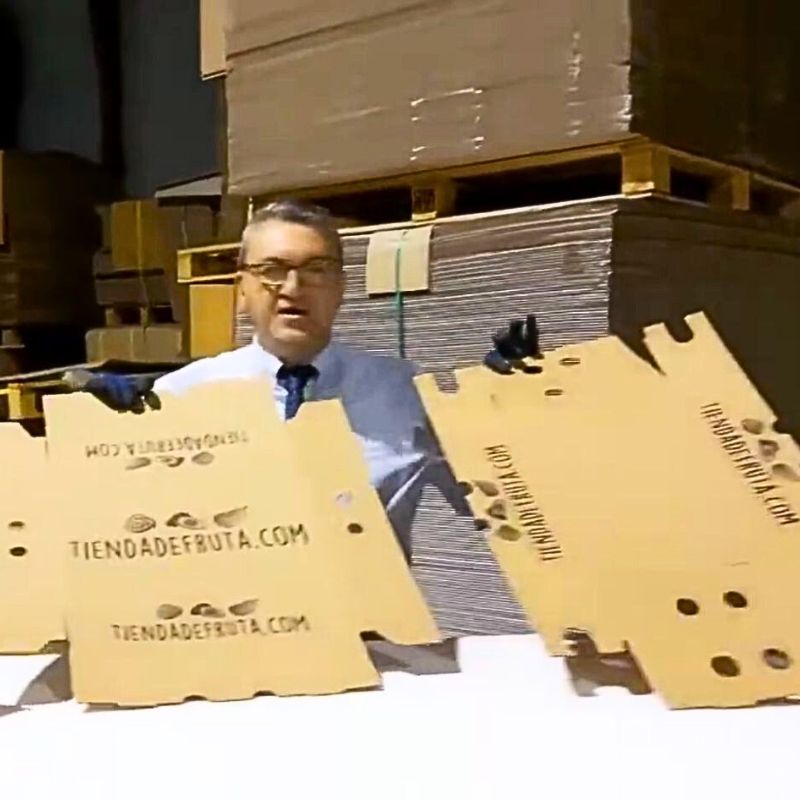 Cajas de Cartón para AGUACATES - MODELO TAPA Y FONDO - Imagen 2