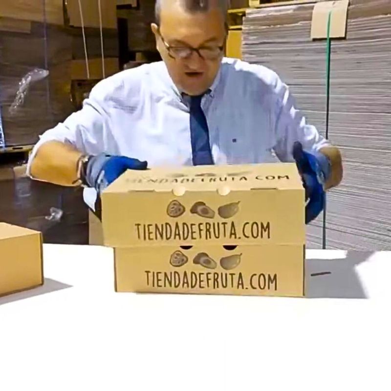 Cajas de Cartón para AGUACATES - MODELO TAPA Y FONDO - Imagen 3