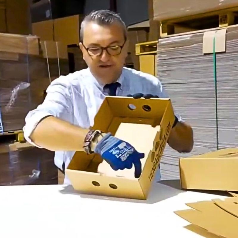 Cajas de Cartón para AGUACATES - MODELO TAPA Y FONDO - Imagen 5