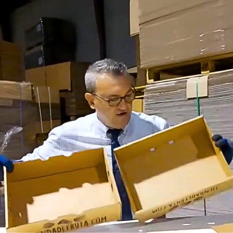 Cajas de Cartón para AGUACATES - MODELO TAPA Y FONDO - Imagen 4