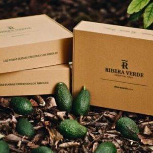 Cajas para Ecommerce 30x20x10 canal 3 fuerte