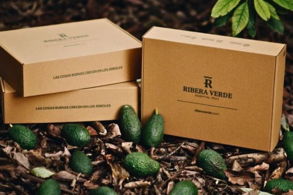 Cajas para frutas y verduras