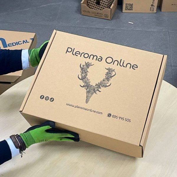Cajas para Envíos de Ropa 45x35x16 ALTA RESISTENCIA - Imagen 4