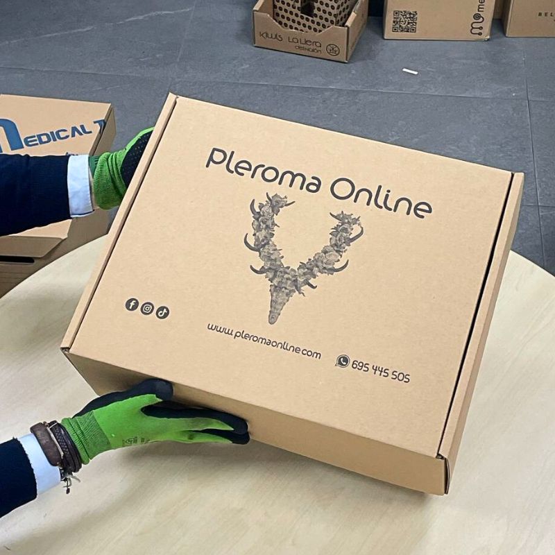 Cajas para Envíos de Ropa 45x35x16 ALTA RESISTENCIA - Imagen 4