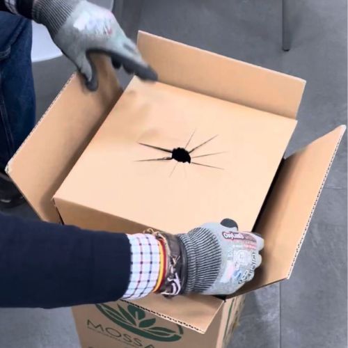 Cajas para Flores - ENVÍOS CORRECTOS - - Imagen 7