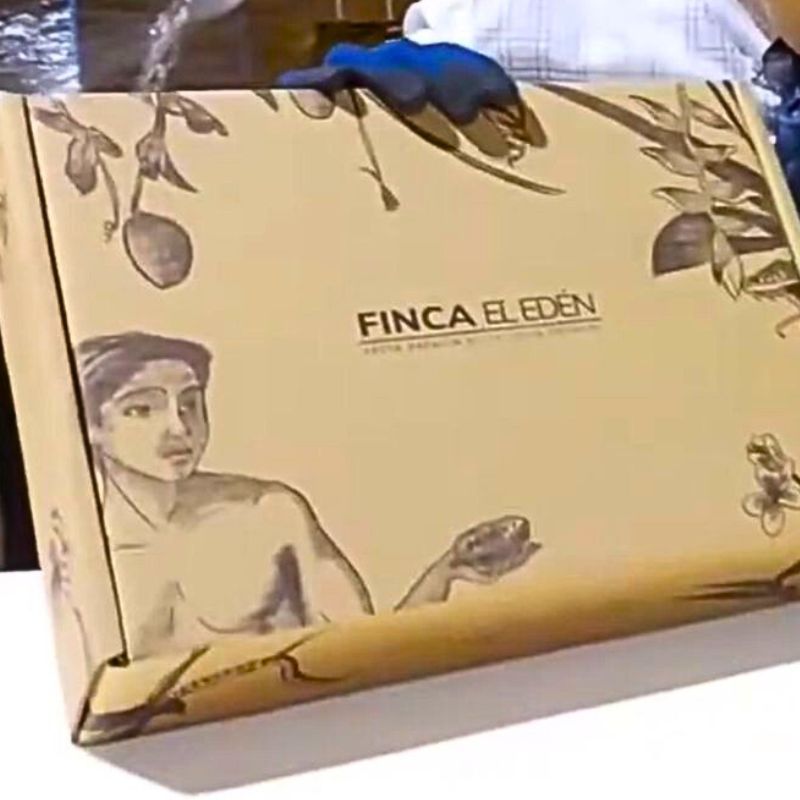 Cajas para Aguacates 40x30x12 AUTOMONTABLE - Imagen 2