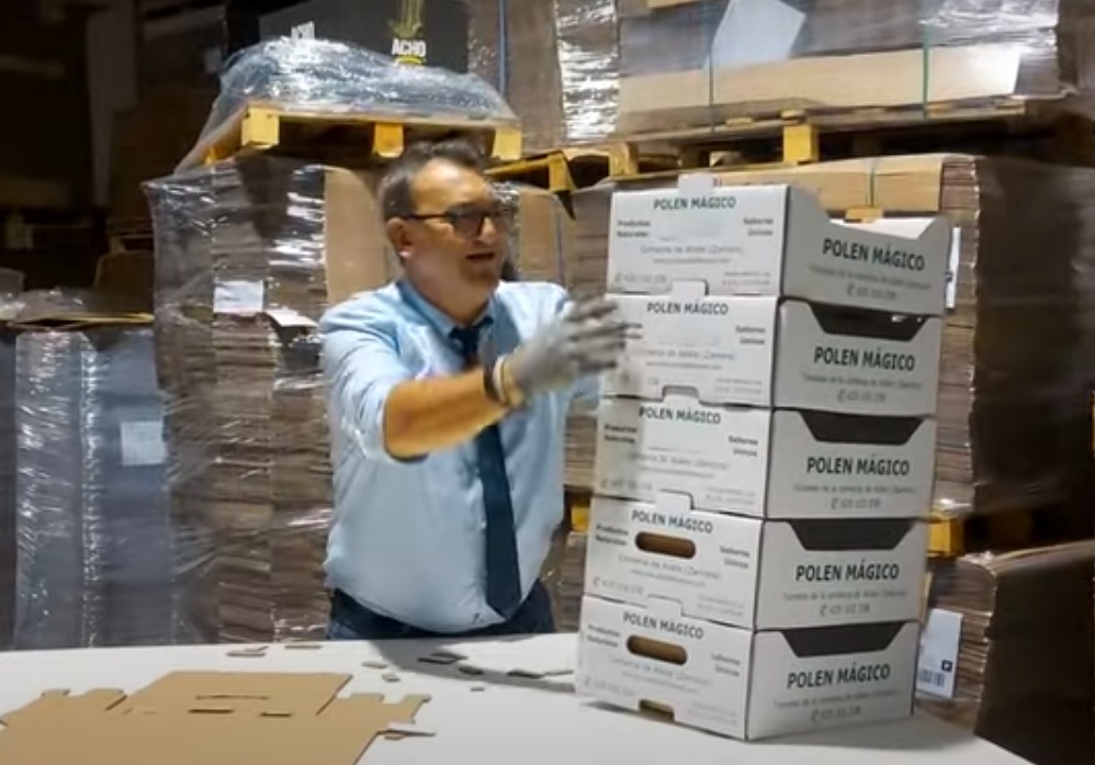 Caja para 5 kg de Frutas y Verduras - Imagen 4